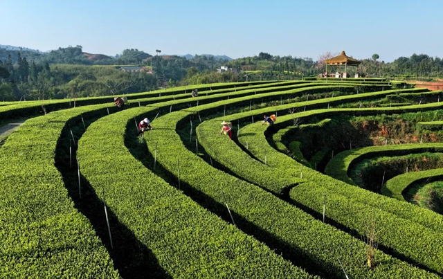 1：6撬动巨资！看纳溪如何用“五好两宜”绘就新时代“富春山居图”