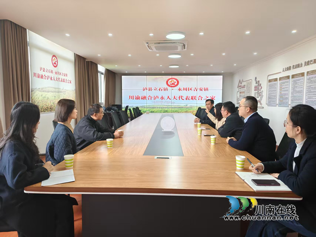 川渝融合聚民意 人大代表显担当|张余率队赴泸县立石镇调研基层人大工作(图1) 立石1.png