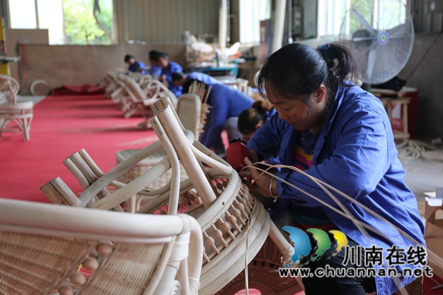 竹海生金绘答卷 生态赋能谱新篇|纳溪区林竹产业“十四五”发展纪实(图3) 3.jpg