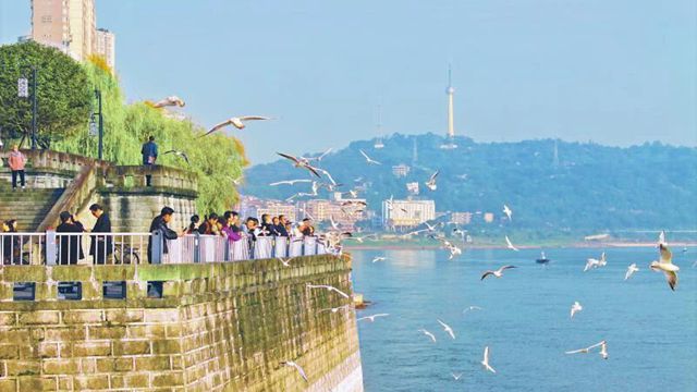 升温了，如何保养身体？