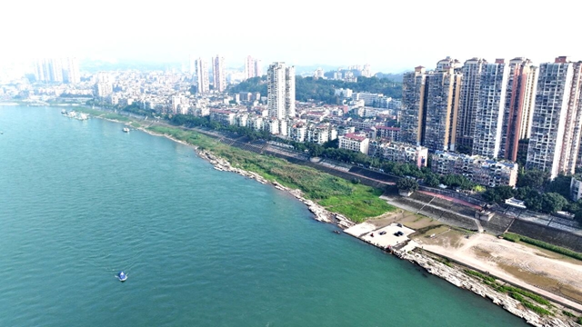 岩原鲤、胭脂鱼...19.5万余尾珍稀鱼种跃入长江，纳溪增殖放流护生态平衡