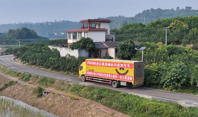 “柚”出圈！泸州五万斤真龙柚启程进京入蓉