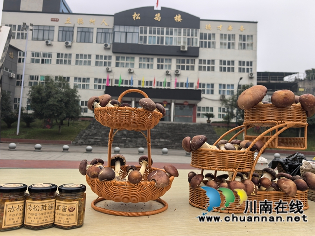 学生巧手传递劳动之美 师生共享创意美食盛宴|纳溪区护国中学举办首届劳动教育成果展暨美食文化节(图10) 微信图片_20251202214308.jpg