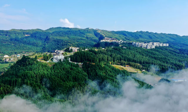 泸州市以“四维融合+智慧赋能”构建“多元协同”居家养老模式(图4) 4.jpg