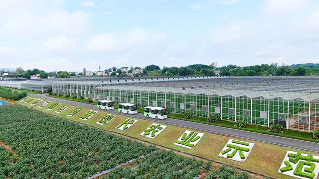 典型案例入选国家级榜单！泸州公交以品质革新筑牢绿色出行标杆