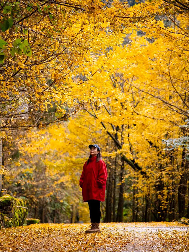 这份金黄,是冬天写给泸州的情书~(图8) 8.jpg