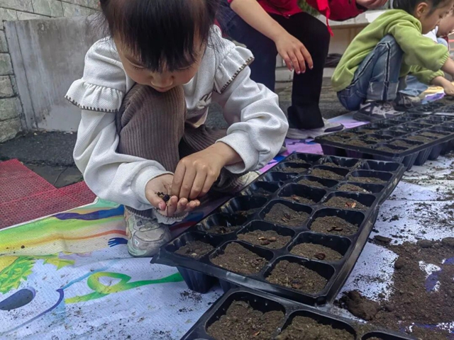 小小葫芦,大大天地!泸县这所乡村小学的收获节,清香扑鼻(图1) 1.jpg