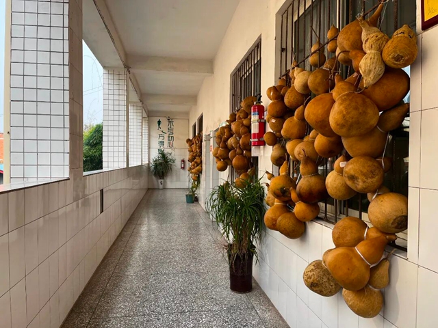 小小葫芦,大大天地!泸县这所乡村小学的收获节,清香扑鼻(图3) 3.jpg