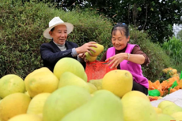 大雪节气|纳溪腊肉喷香 柚橘甜透寒天(图6) 6.jpg