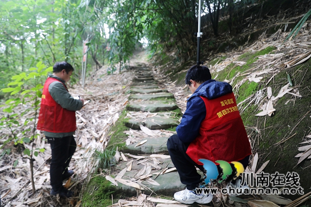 建于南宋时期，泸州市龙马潭区发现一古驿道