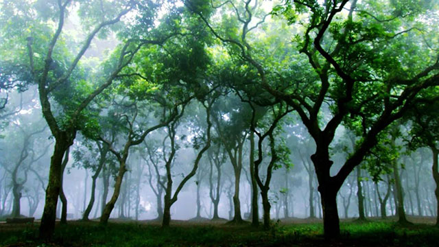 12月9日来泸州这里，沉浸式剧场带你“一秒入戏”