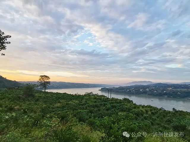 美丽庭院·筑在巴蜀 | 典型案例展播，泸州5村特色经验揭晓→