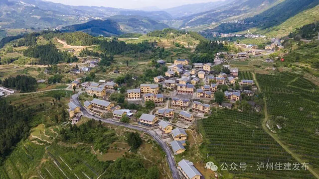 美丽庭院·筑在巴蜀 | 典型案例展播,泸州5村特色经验揭晓→(图6) 6.jpg