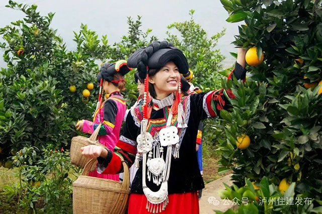 美丽庭院·筑在巴蜀 | 典型案例展播,泸州5村特色经验揭晓→(图9) 9.jpg