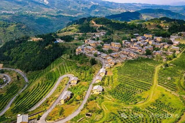 美丽庭院·筑在巴蜀 | 典型案例展播,泸州5村特色经验揭晓→(图10) 10.jpg