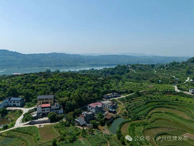 美丽庭院·筑在巴蜀 | 典型案例展播,泸州5村特色经验揭晓→(图11) 11.jpg
