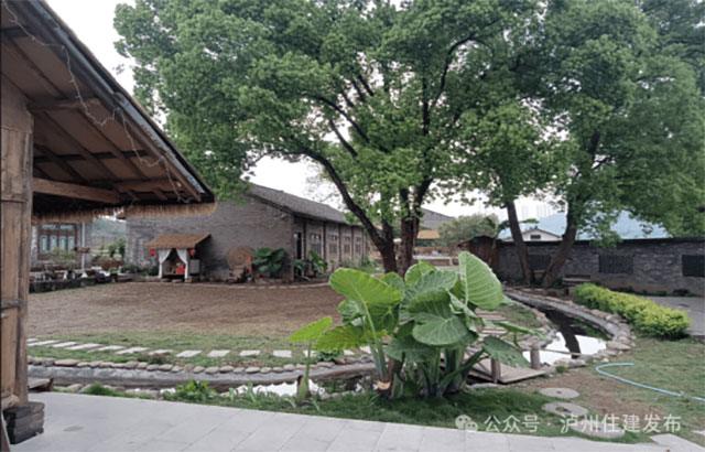 美丽庭院·筑在巴蜀 | 典型案例展播,泸州5村特色经验揭晓→(图18) 18.jpg