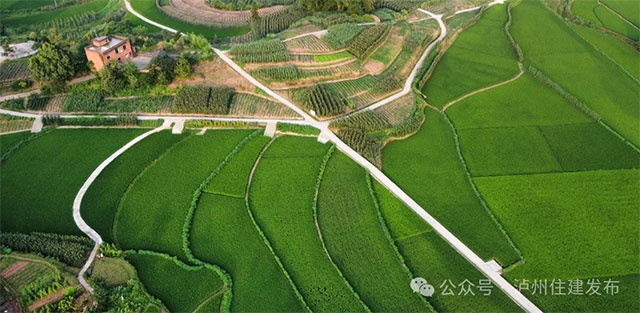 美丽庭院·筑在巴蜀 | 典型案例展播,泸州5村特色经验揭晓→(图19) 19.jpg