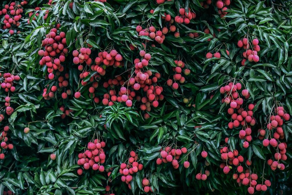 国家级示范区名单，泸州一处入选