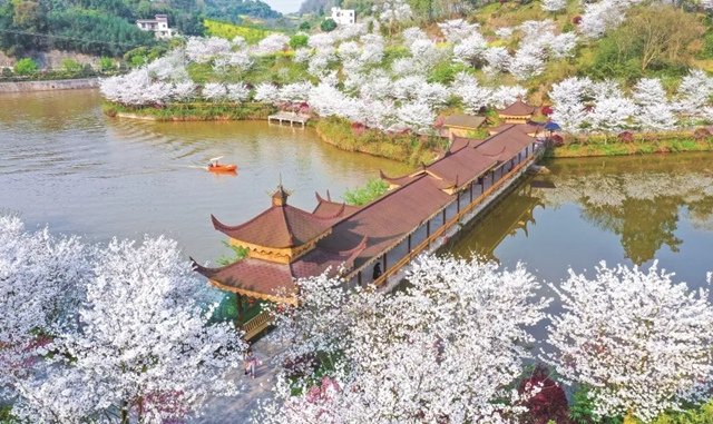 从“梨雪之乡”到“田园会客厅”，江阳区丹林镇的文旅商新实践