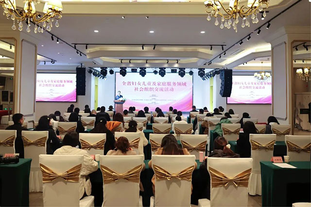 全省妇女儿童及家庭服务领域社会组织交流活动在泸举行
