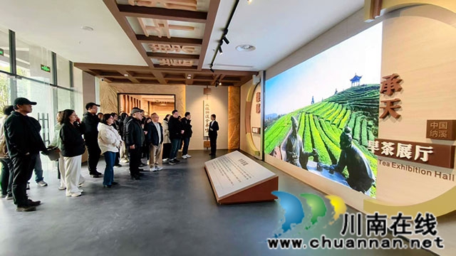 国家生化标委会专家委员莅临纳溪参观调研(图4) 参观纳溪特早茶展厅.jpg