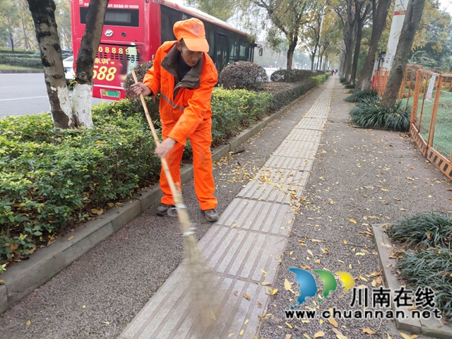 龙马潭区:聚焦四大关键领域,开展市容环境卫生综合整治行动(图1) 1.jpg