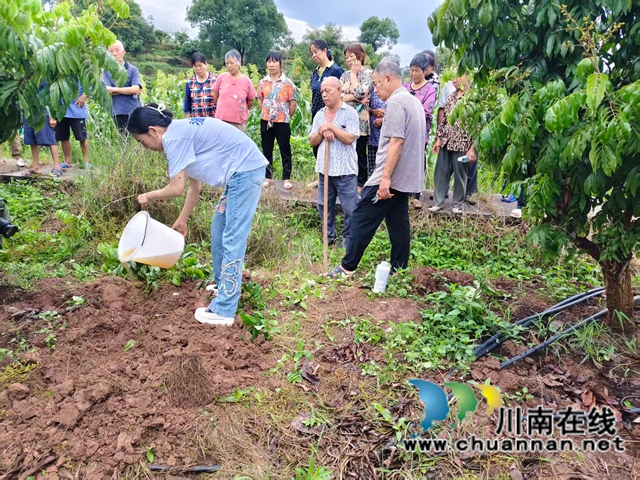 泸县返乡创业指导员武万琼（前排一，全国三八红旗手、四川省劳动模范）为返乡创业群众开展果树栽种、管理技术示范培训.jpg