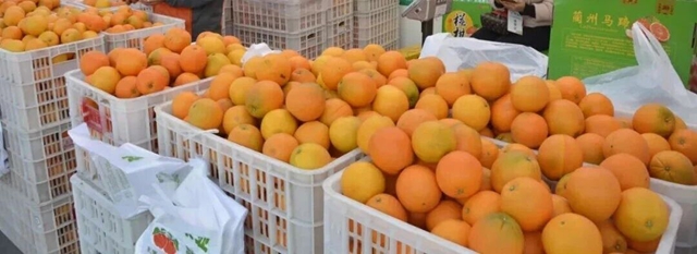 第三届亚洲综合格斗锦标赛嘉年华!今日泸州奥体开启“格斗+逛吃” 嗨皮加倍(图16) 16.jpg