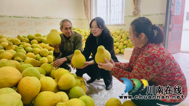 图2：龙小芳（中）了解柚农增收情况.jpg