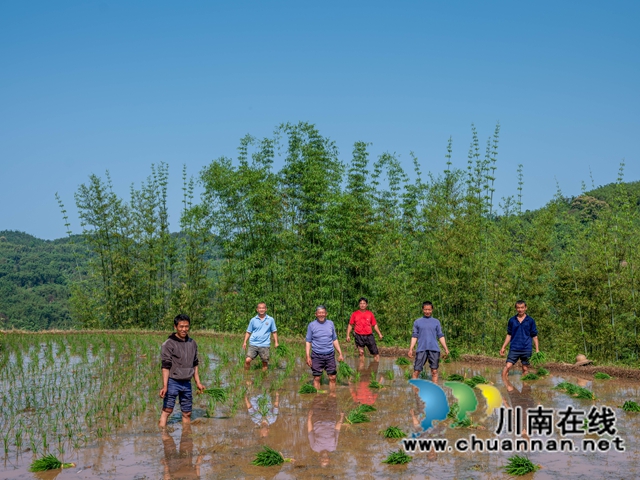 《春耕》 叙永县江门镇双莲村- 王奇杰摄.jpg