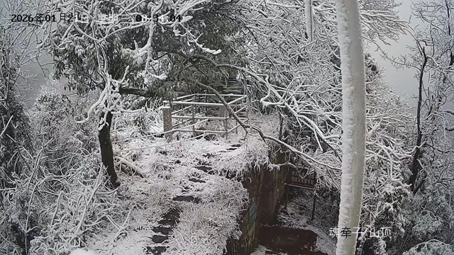 今天，合江下雪啦！