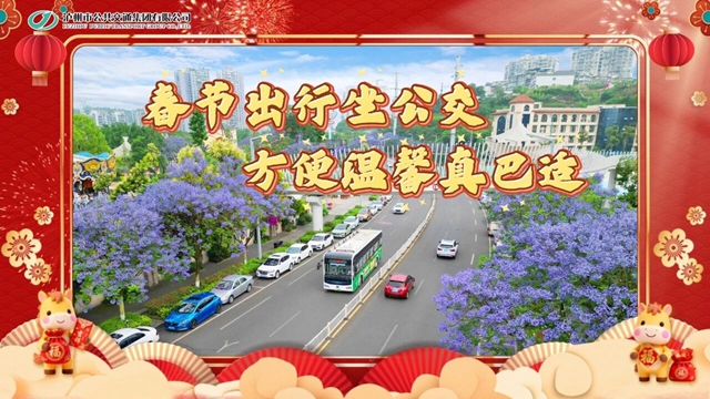 泸州公交集团党委召开2025年度党组织书记抓基层党建工作述职评议会