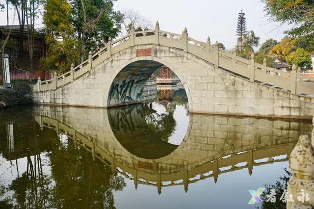 叙永新增打卡点:中华油茶庄园正式亮相(图2) 2.jpg