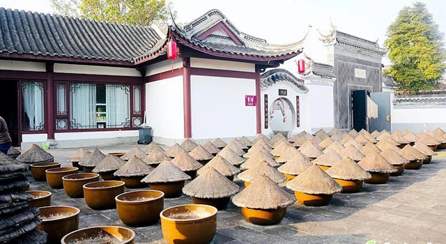 叙永新增打卡点:中华油茶庄园正式亮相(图5) 5.jpg