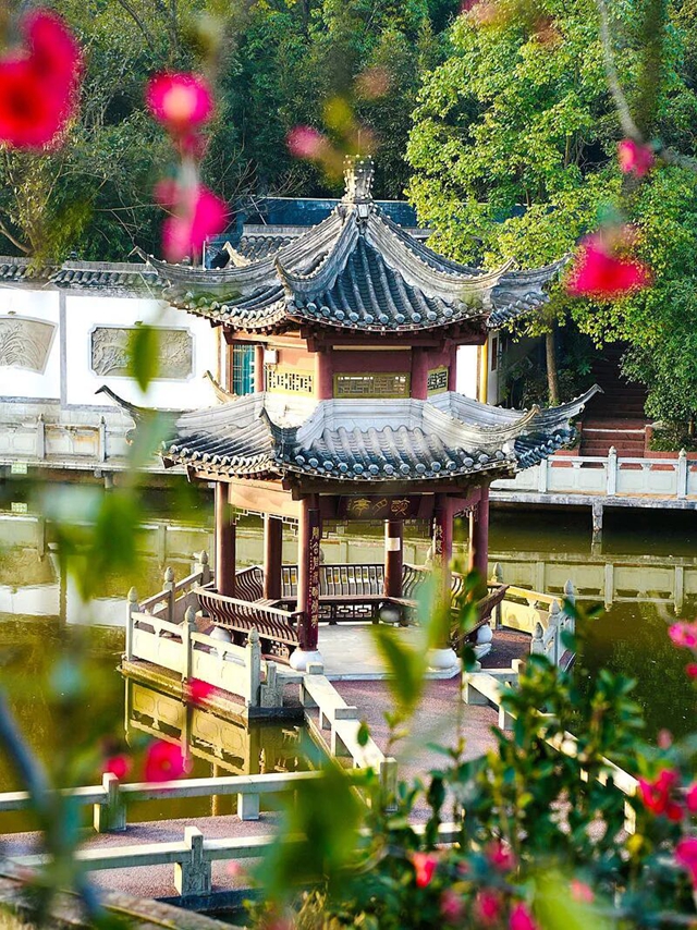 叙永新增打卡点:中华油茶庄园正式亮相(图12) 12.jpg