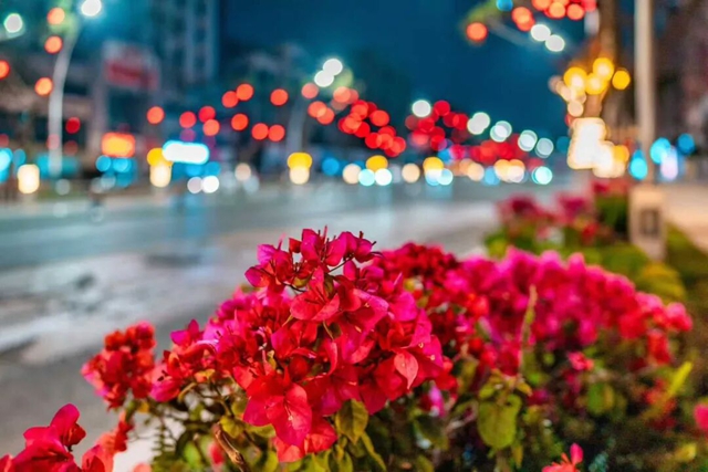 泸州的新春大片已上线,朋友圈九宫格都嫌不够放!(图4) 4.jpg