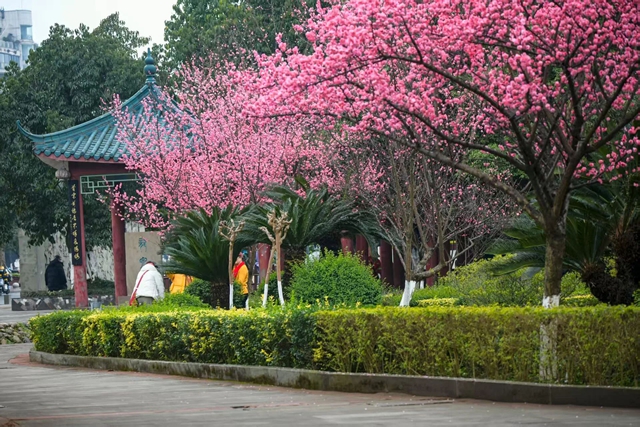 泸州的新春大片已上线,朋友圈九宫格都嫌不够放!(图7) 7.jpg