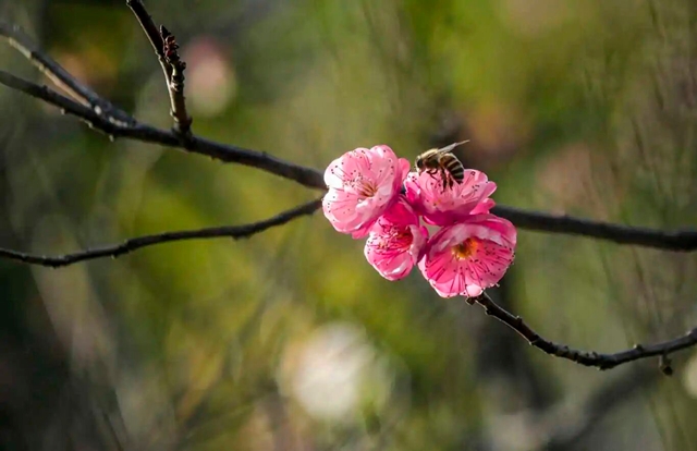 泸州的新春大片已上线,朋友圈九宫格都嫌不够放!(图18) 18.jpg