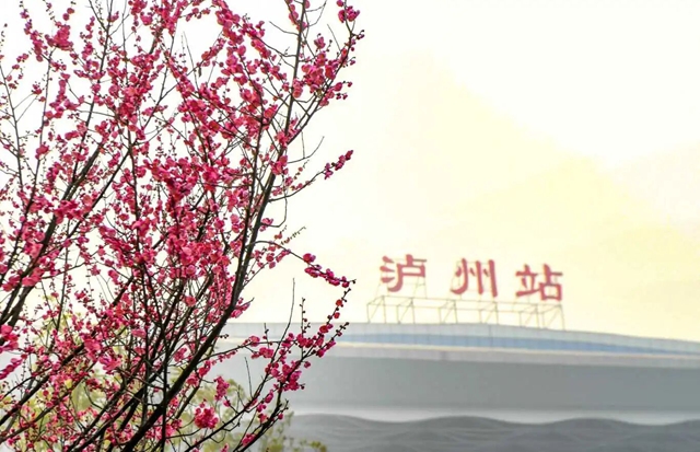 泸州的新春大片已上线,朋友圈九宫格都嫌不够放!(图19) 19.jpg