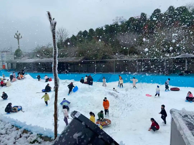 六大场景、数十项活动,泸州要你“马”上开怀!(图13) 13.jpg