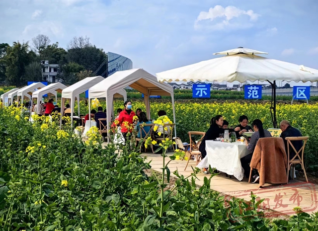 六大场景、数十项活动,泸州要你“马”上开怀!(图35) 35.jpg