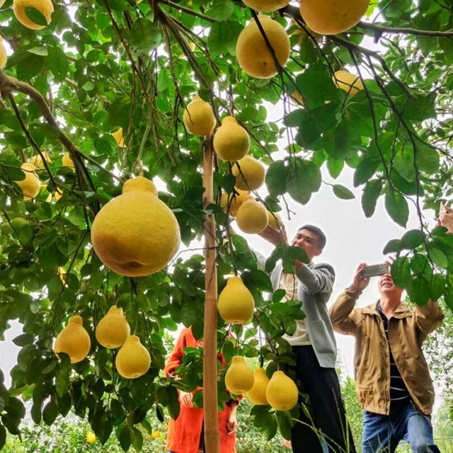 和美纳溪年 | 大年初二,“纳”份地道年味,礼到情更浓!(图16) 16.jpg
