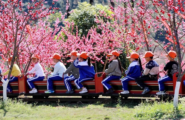 和美纳溪年 | 年味浓、景色佳,来纳溪把春节过成诗!(图10) 10.jpg