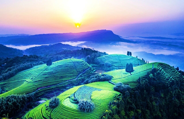 和美纳溪年 | 年味浓、景色佳,来纳溪把春节过成诗!(图2) 2.jpg