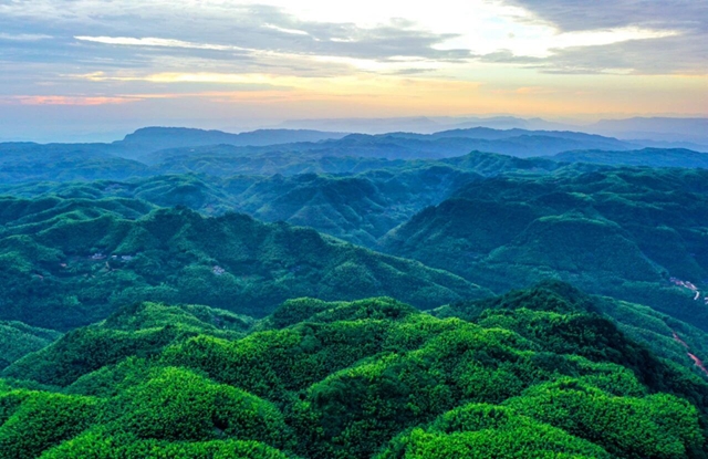 和美纳溪年 | 年味浓、景色佳,来纳溪把春节过成诗!(图3) 3.jpg