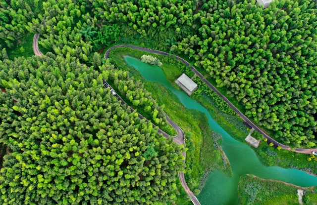 和美纳溪年 | 年味浓、景色佳,来纳溪把春节过成诗!(图4) 4.jpg