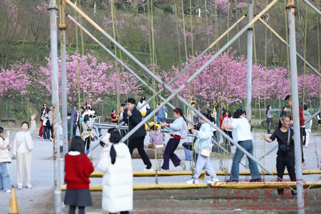 春晚《贺花神》里的这些花在泸州被唤醒了,还有重磅活动在等你→(图8) 8.jpg