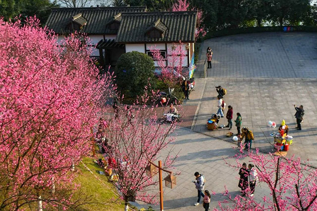 春晚《贺花神》里的这些花在泸州被唤醒了,还有重磅活动在等你→(图10) 10.jpg