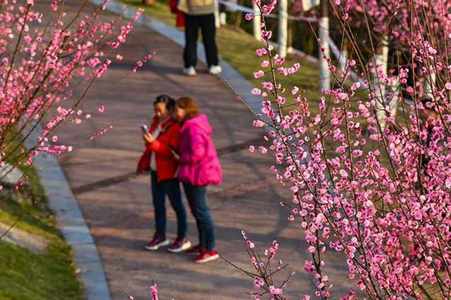 春晚《贺花神》里的这些花在泸州被唤醒了,还有重磅活动在等你→(图11) 11.jpg